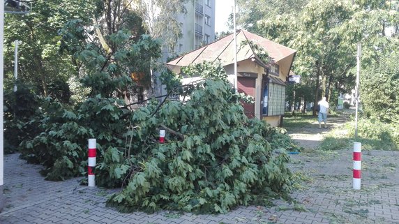 Nawałnica spustoszyła Osiedle Podwawelskie