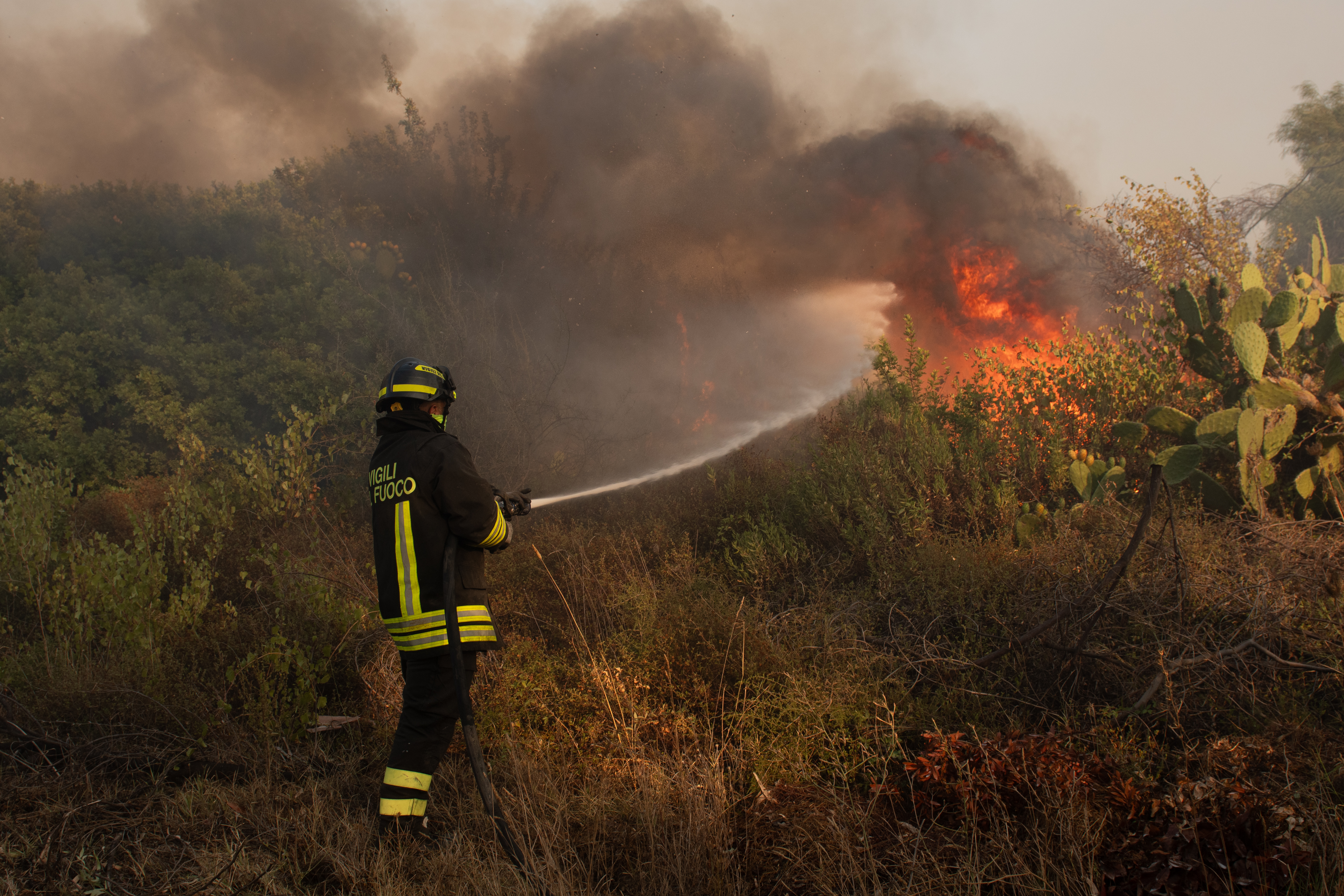 Paura a San Giovanni Rotondo: scoppia un incendio nella notte, evacuate 37 famiglie