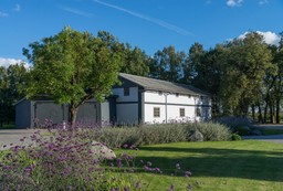 Rzucanie cienia na działkę sąsiada to za mało, by uznać wycinkę drzew za konieczną