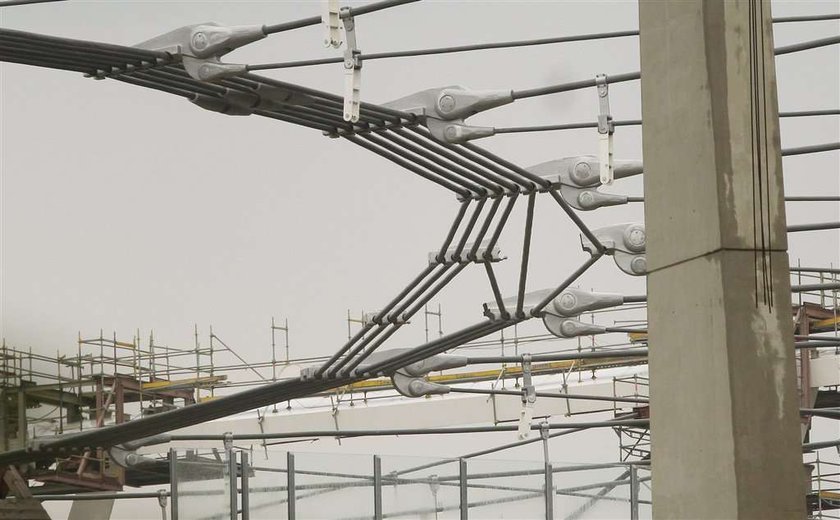 Pękły krokodyle na stadionie