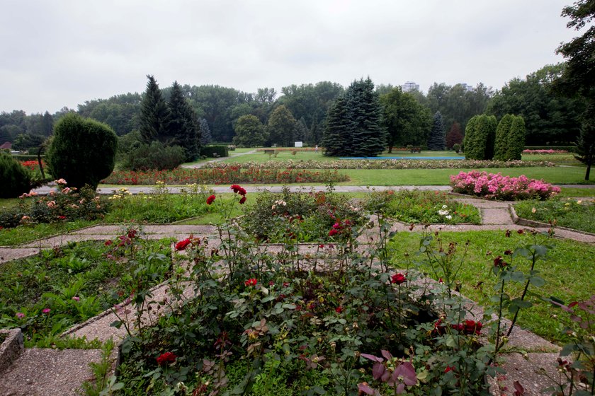 Rosarium w Parku Śląskim