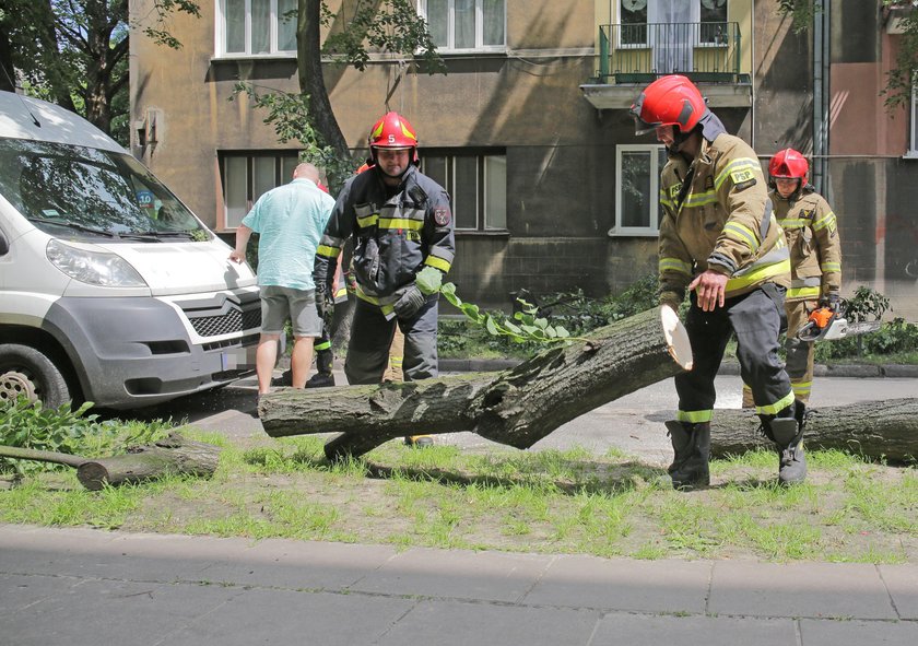 O krok od tragedii. Drzewo runęło na ulicę