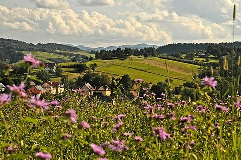 Nie dojedziesz autobusem w Bieszczady