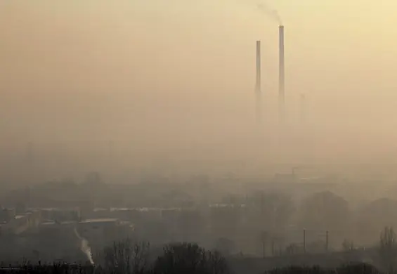 Duszący problem Polaków. Smog nas zabija, a my nic z nim nie robimy