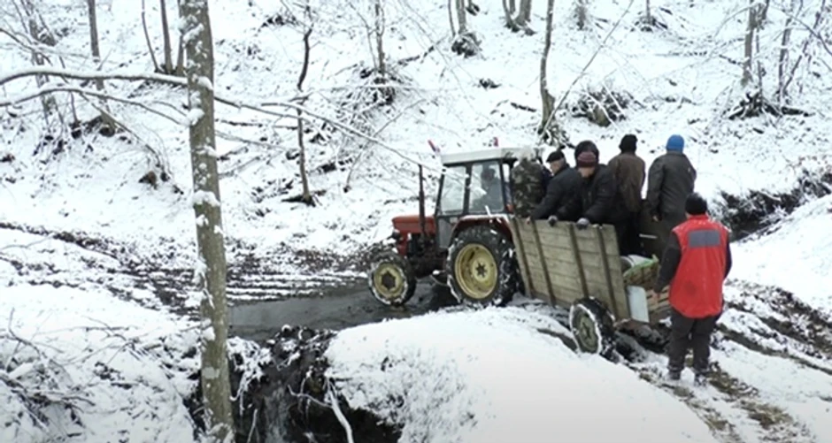 Stope Svetog Save skrivene u gustoj dragačevskoj šumi