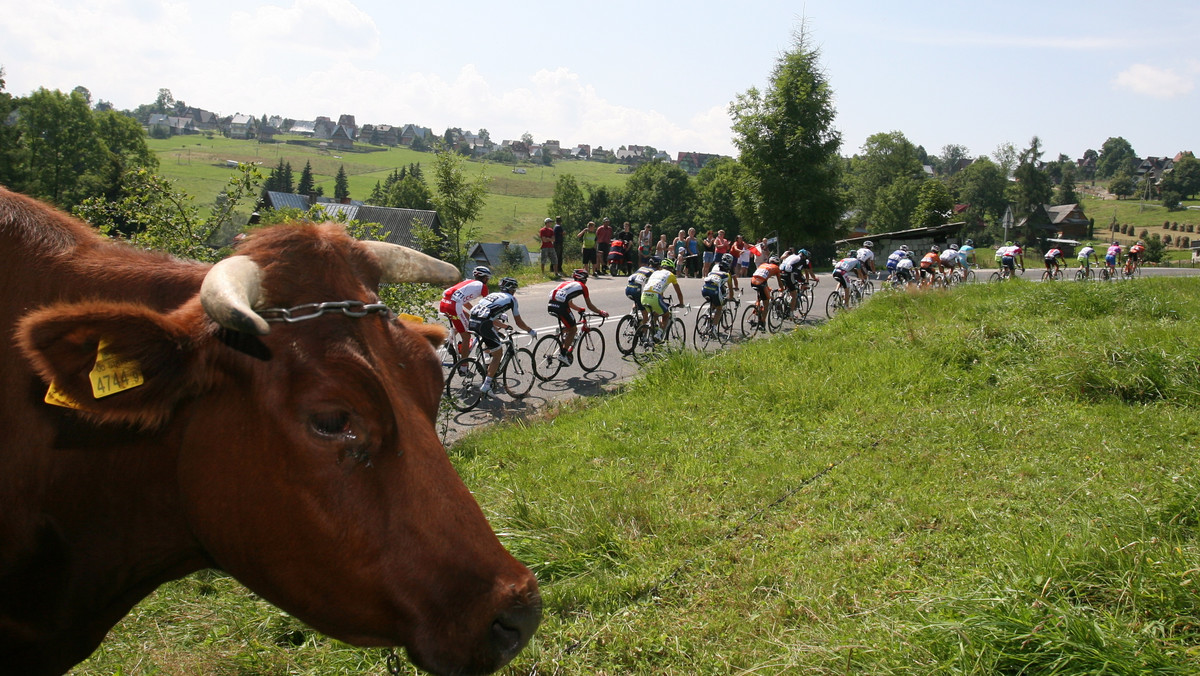 KOLARSTWO TOUR DE POLOGNE SZÓSTY ETAP