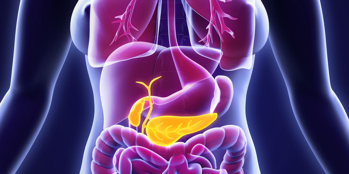 Trzustka, niewielki narząd w górnej części brzucha, produkuje insulinę, która pomaga organizmowi wykorzystywać cukier z tego, co je.