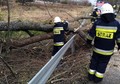 Strażacy odblokowują nieprzejezdną drogę na Podkarpaciu