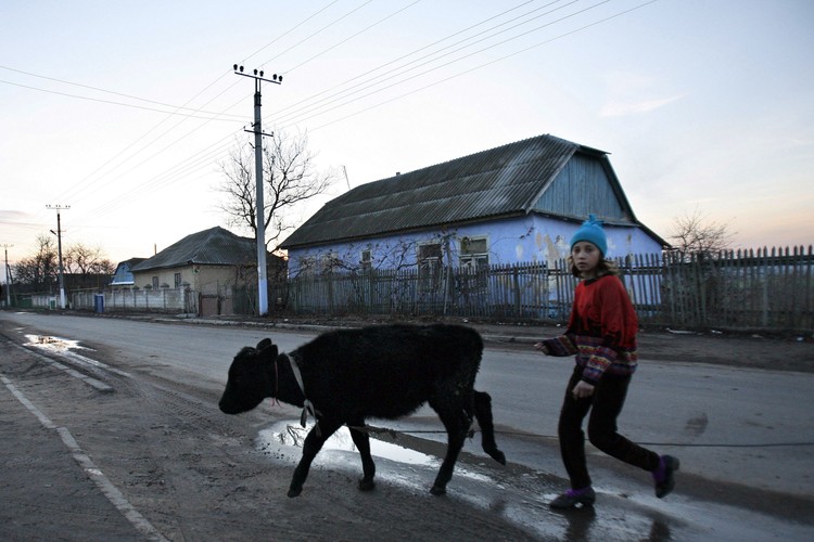 Głównym filarem gospodarki mołdawskiej jest rolnictwo, co świadczy o niskim poziomie rozwoju kraju. Klimat sprzyja produkcji owoców, z których powstają mołdawskie wina, znane z dość dobrej jakości i niewygórowanej ceny.

Wieś Cosnitsa