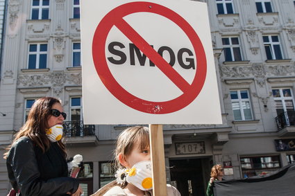 Smog wpływa na dziecięcy mózg. Badacze sprawdzą, jak się to dzieje