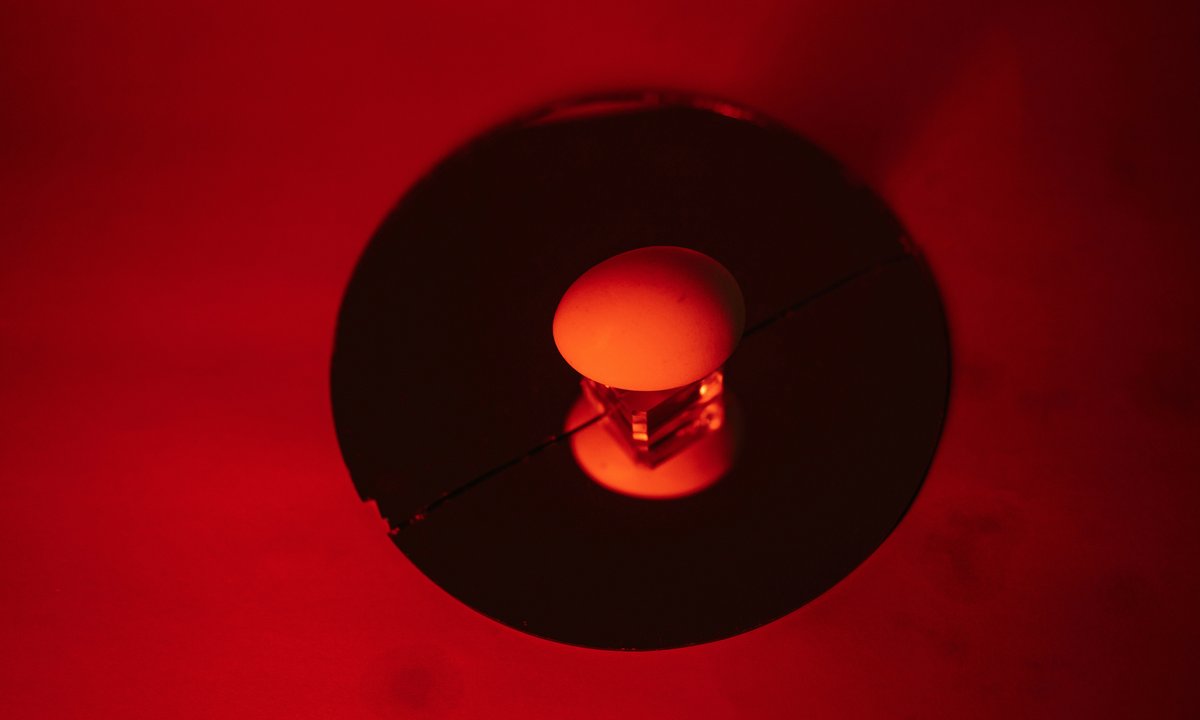 Czy poradziłbyś sobie w teleturnieju? Sprawdź się w naszym quizie