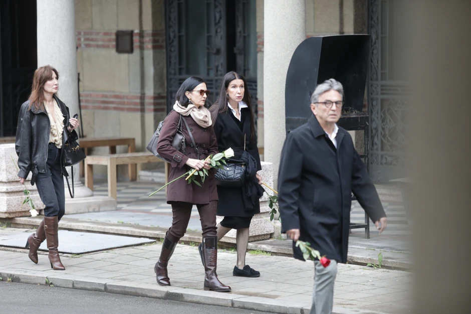 Sahrana Vuka Dapčevića