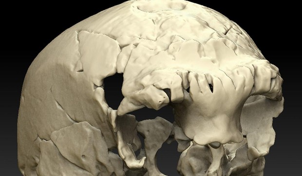 lobanja arheologija02 arhivska fotografija eurekalert.org Rolf Quam