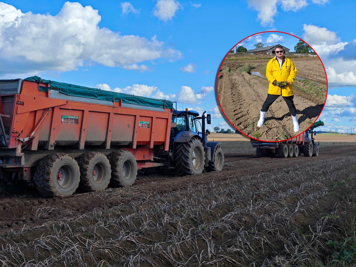 Byłem na wielkim ziemniaczanym polu. Tam rodzą się frytki McDonald's