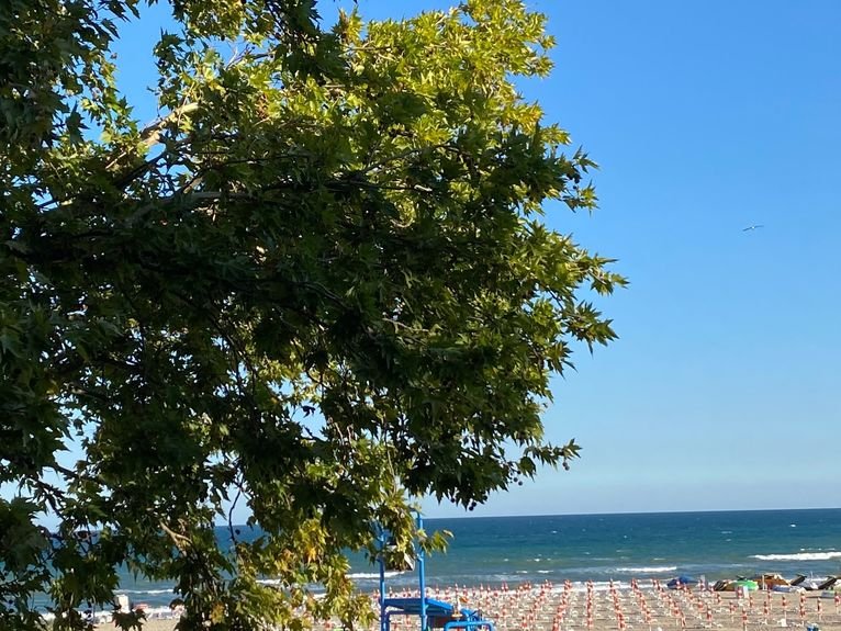 Albena - puste plaże czekają na gości.