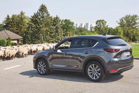 Mazda CX-5 II – test 100 tys. km