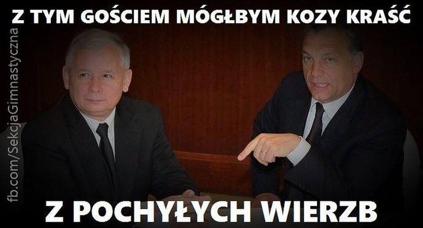 Internauci komentują kompromitację PiS! MEMY