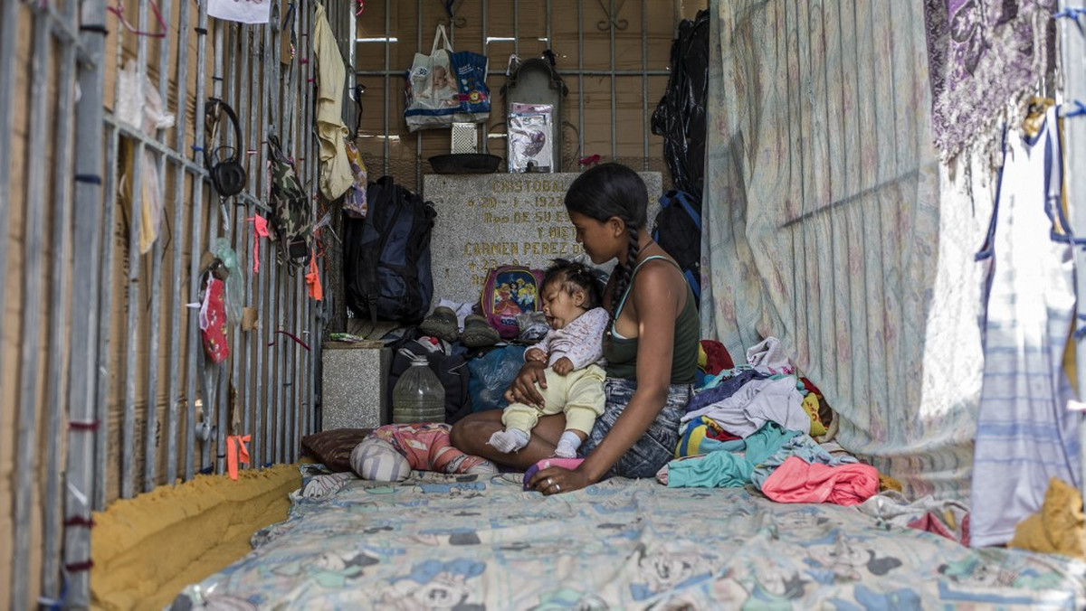 Bezdomni i hieny cmentarne. Życie na zabytkowym cmentarzu w Caracas (Wenezuela)