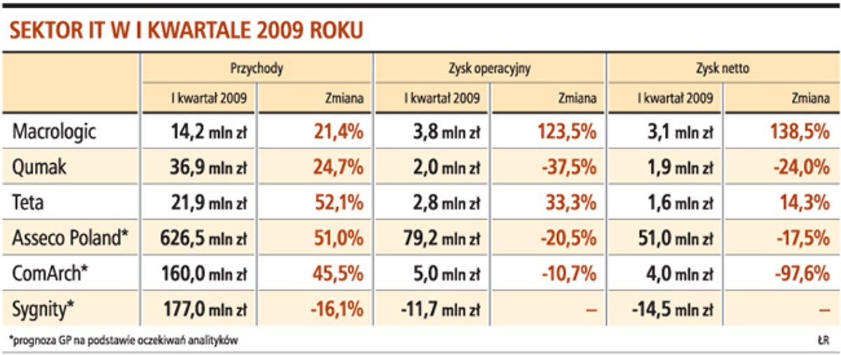 Sektor IT w I kwartale 2009 roku