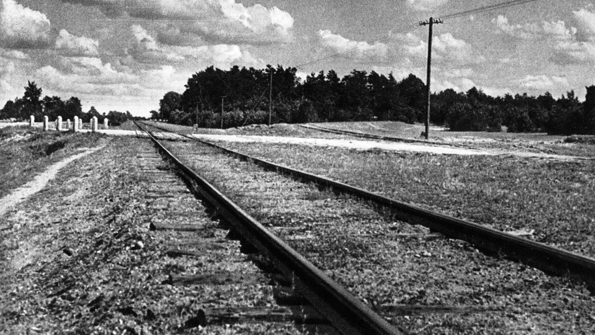 Tym razem nie chodziło tylko o ucieczkę. "Postanowiliśmy zniszczyć obóz" – opowiada jeden z ocalałych. Więźniowie, którzy byli świadkami śmierci nawet miliona Żydów, pragnęli wolności, ale też zemsty. To właśnie dostali. Ale za jaką cenę?