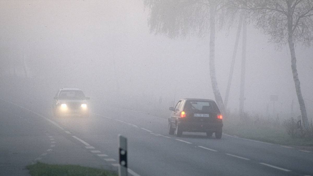 W Jakich Warunkach Masz Prawo Włączyć Tylne światła Przeciwmgłowe Kiedy trzeba włączyć światła przeciwmgłowe? Wielu kierowców tego nie wie