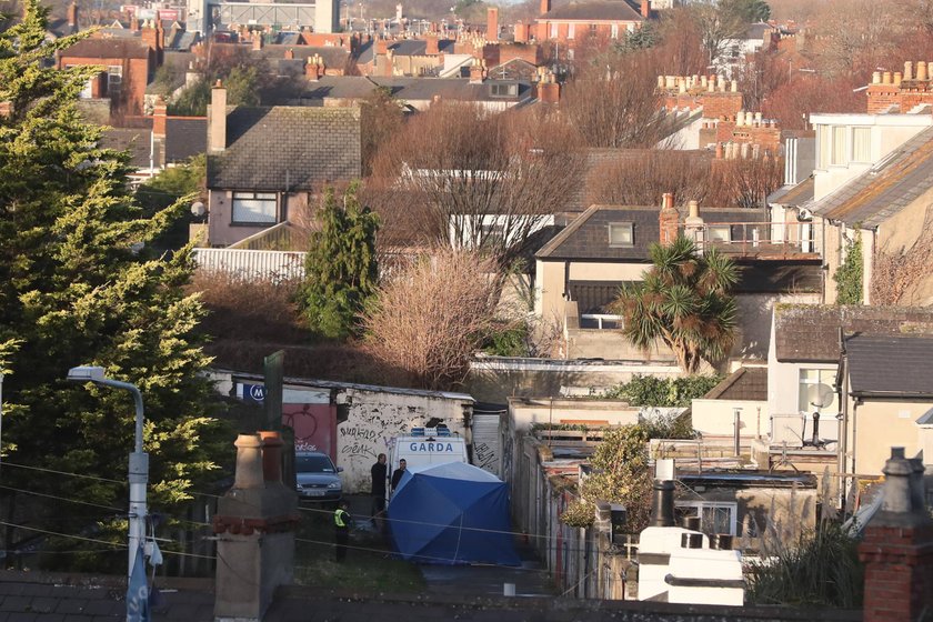 W Dublinie znaleziono głowę, ręce i nogę nastolatka