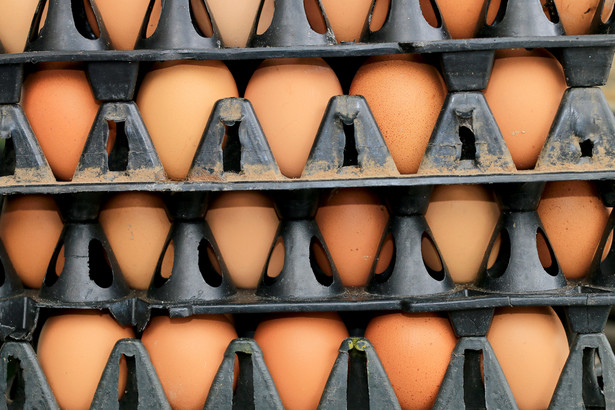 "Z otrzymanych dotychczas wyników kontroli wynika, że jaja zostały zablokowane w obrocie i nie będą użyte do dalszego przetwórstwa. Jaja te nie trafiły do konsumentów i zostaną zutylizowane lub zwrócone do niemieckiego dostawcy w całości (ok. 40 tys. szt.)" - zaznaczył.