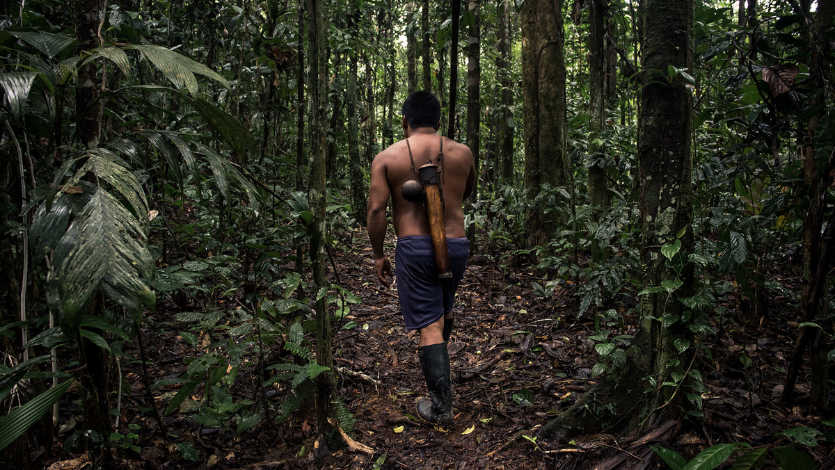 Jak żyje plemię Huaorani, niegdyś uważane za najbardziej brutalne w Amazonii? Zobacz film, w którym dokumentujemy naszą wizytę u Indian, żyjących głęboko w dżungli z dala od zachodniej cywilizacji!