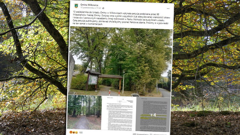 Mieszkańcy ulic sąsiadujących z parkiem w Wilkowicach skarżą się gminie