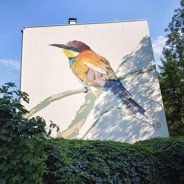 Murale ptaków