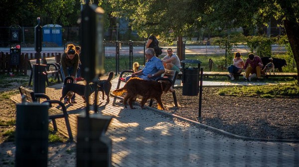 W Krakowie jest już 20 wybiegów dla psów i jest szansa na kolejne.