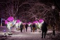 Iluminacje Multidekor Park Miliona Świateł Łódź