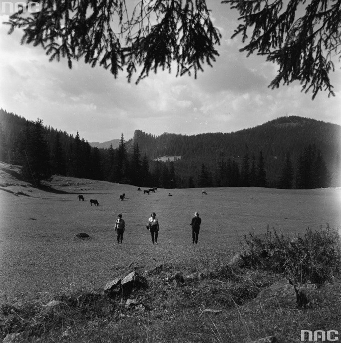 Wycieczka w Tatry