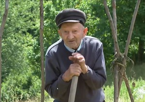 Deda Miloš Veljović