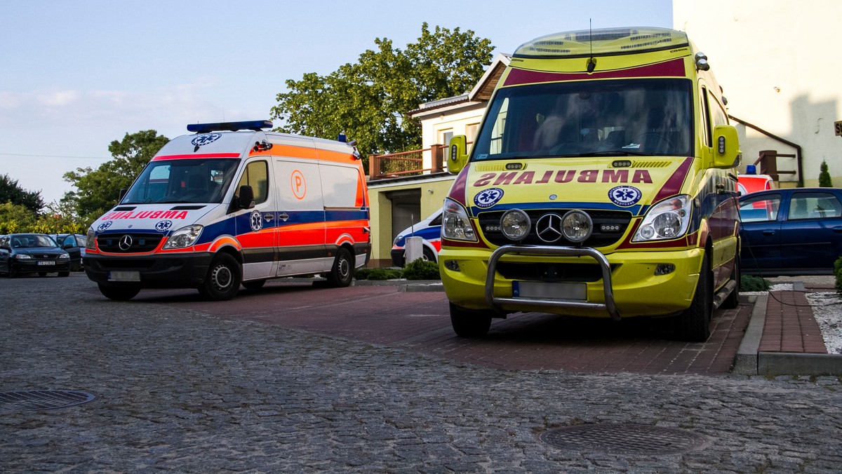 Po zderzeniu samochodu osobowego z autobusem na drodze krajowej nr 7 między Płońskiem i Glinojeckiem utrudniony jest ruch w pobliżu miejscowości Szare Brzegi - poinformowała w sobotę po południu policja. W wypadku zginęła jedna osoba.