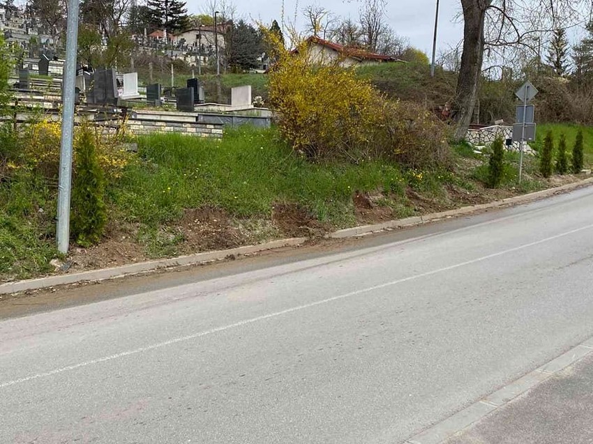 Juče ujutro primećeno je da nedostaje pet tek zasađenih tuja