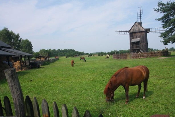 Tarczyn – naturalnie i nowocześnie