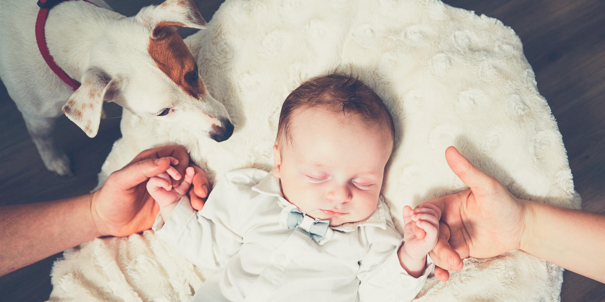 Jak przygotować psa na narodziny naszego dziecka? Behawiorysta podaje konkretne porady.