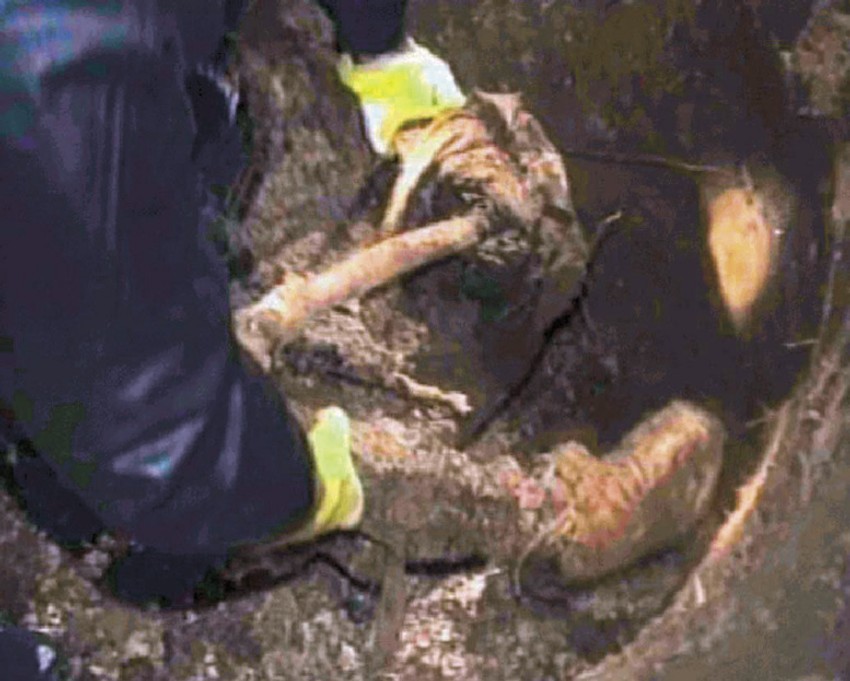  Uviđaj: Posmrtni ostaci pronađeni su tek nakon smene Miloševićevog režima