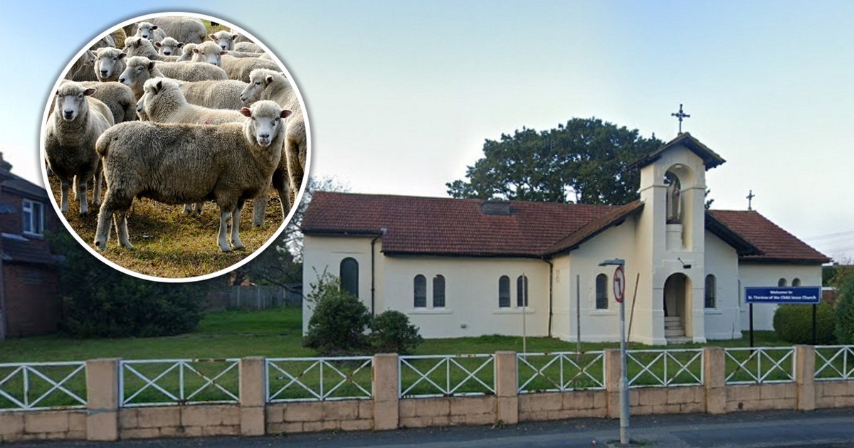 Zostawiał zwłoki zwierząt pod kościołami. "Co on sobie myślał?"