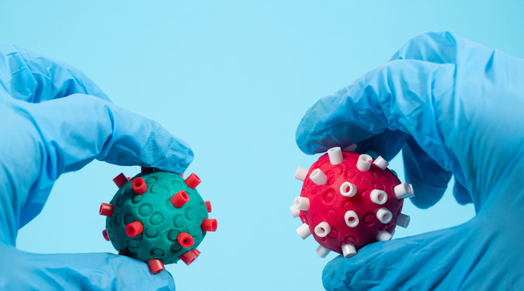 koronavírus  Fotó: Getty Images