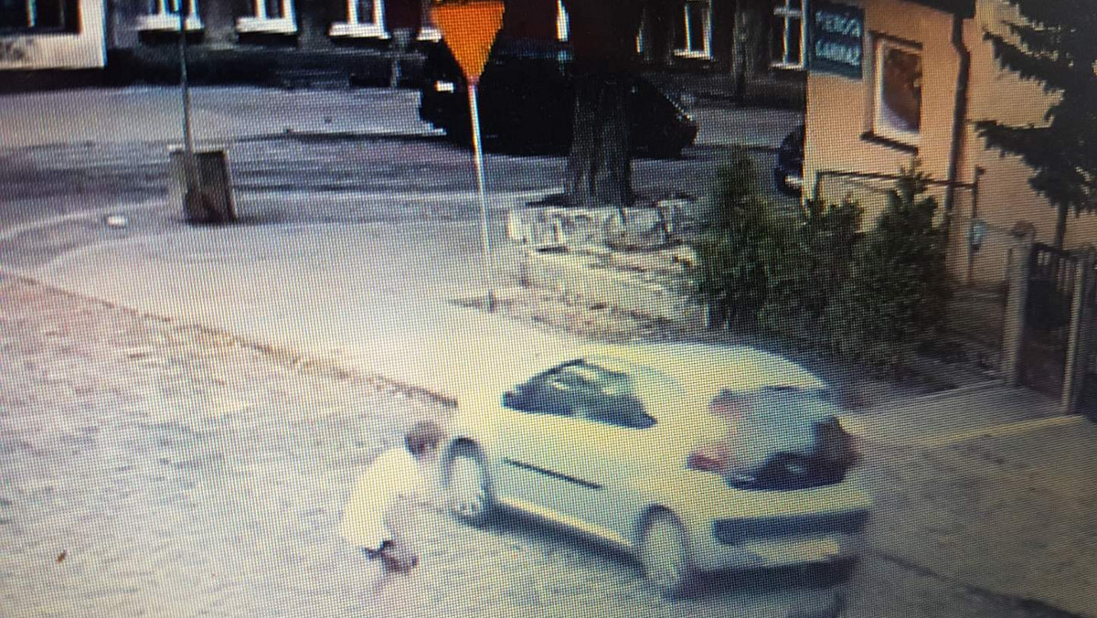 Gdańsk.: Potrącenie psa. Policja umorzyła sprawę 