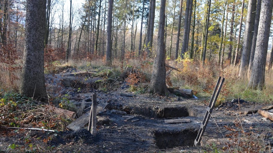 Leśnicy ostrzegają przed niebezpieczeństwem. Chodzi o biedaszyby