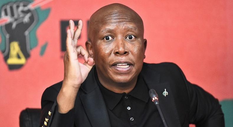 EFF leader Julius Malema