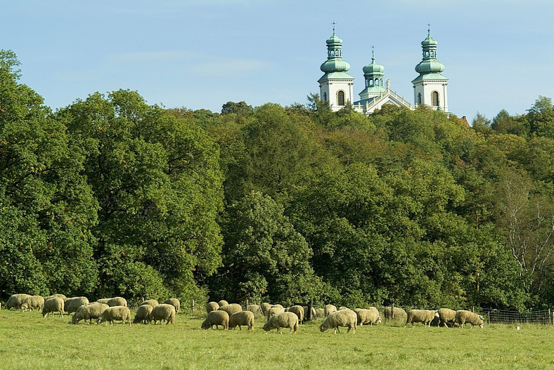 Klasztor Kamedułów na Bielanach (Srebrna Góra).