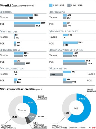 Wyniki finansowe (mln zł)