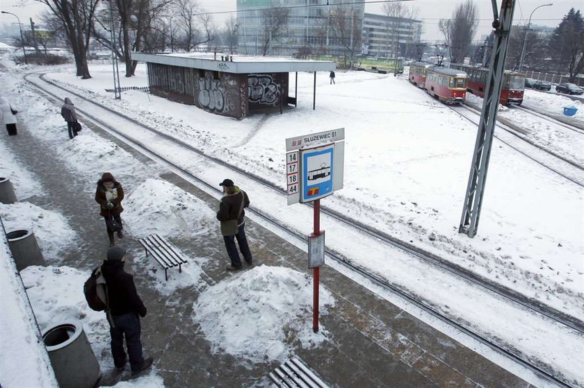 Zimno na przystankach