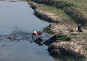 468270_koreja-03-foto-profimedia-rs