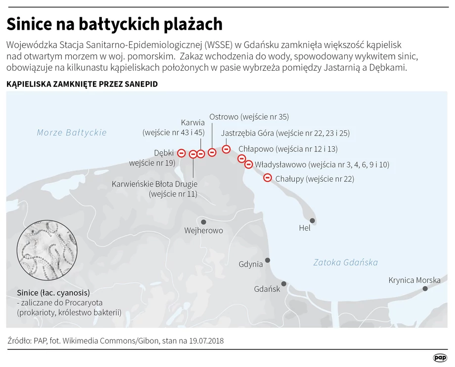 
Sinice na bałtyckich plażach. Stan z 19.07.2018.