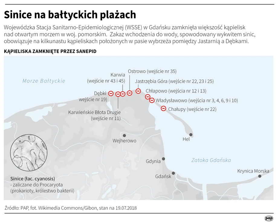 
Sinice na bałtyckich plażach. Stan z 19.07.2018.